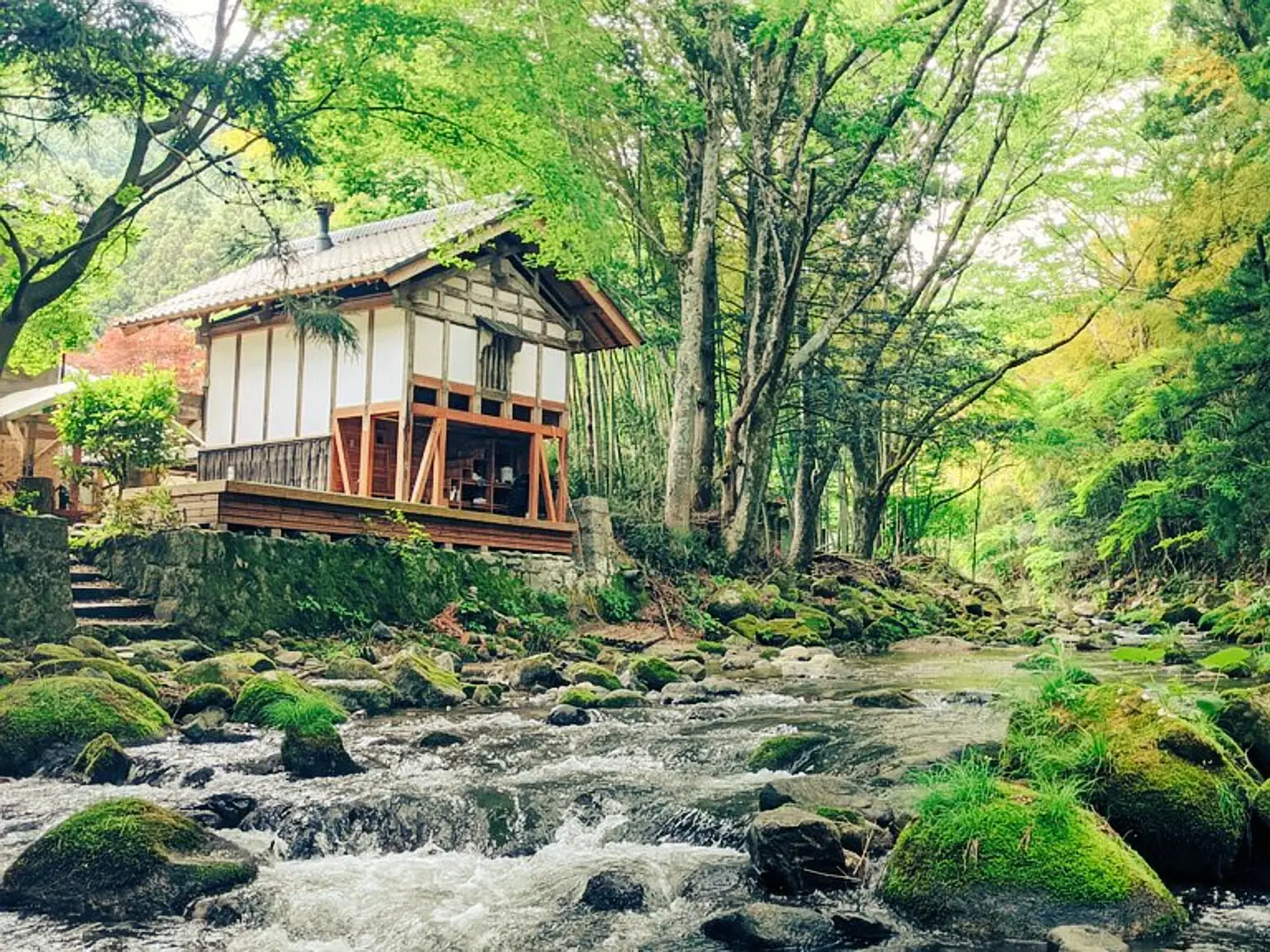 PEACE　さがの　サウナ 色々な角度からSAZAEを！ | 藤森慎吾の有楽町サウナクラブ