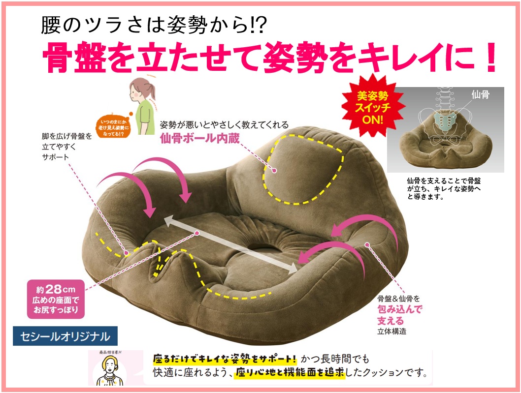 気がつくと猫背になっている…そんな方に！ 座るだけで綺麗な姿勢を