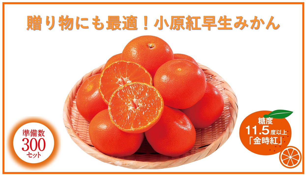 香川県より美味しいみかんを産地直送♪みかんの極み『小原紅早生みかん