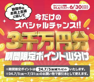 今だけのスペシャルチャンス！お買い上げ金額に応じて3千万円分