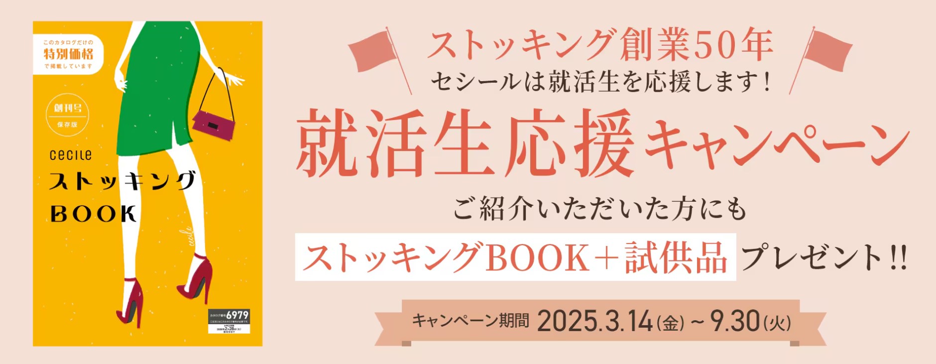 盛岡大附属高校 公式戦ストッキング新品 盛岡大附属高校 公式戦