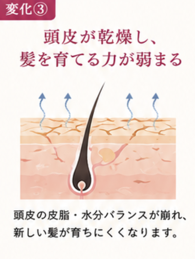 変化3