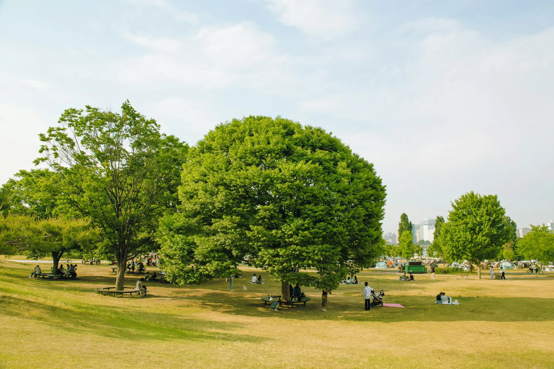 漢江公園