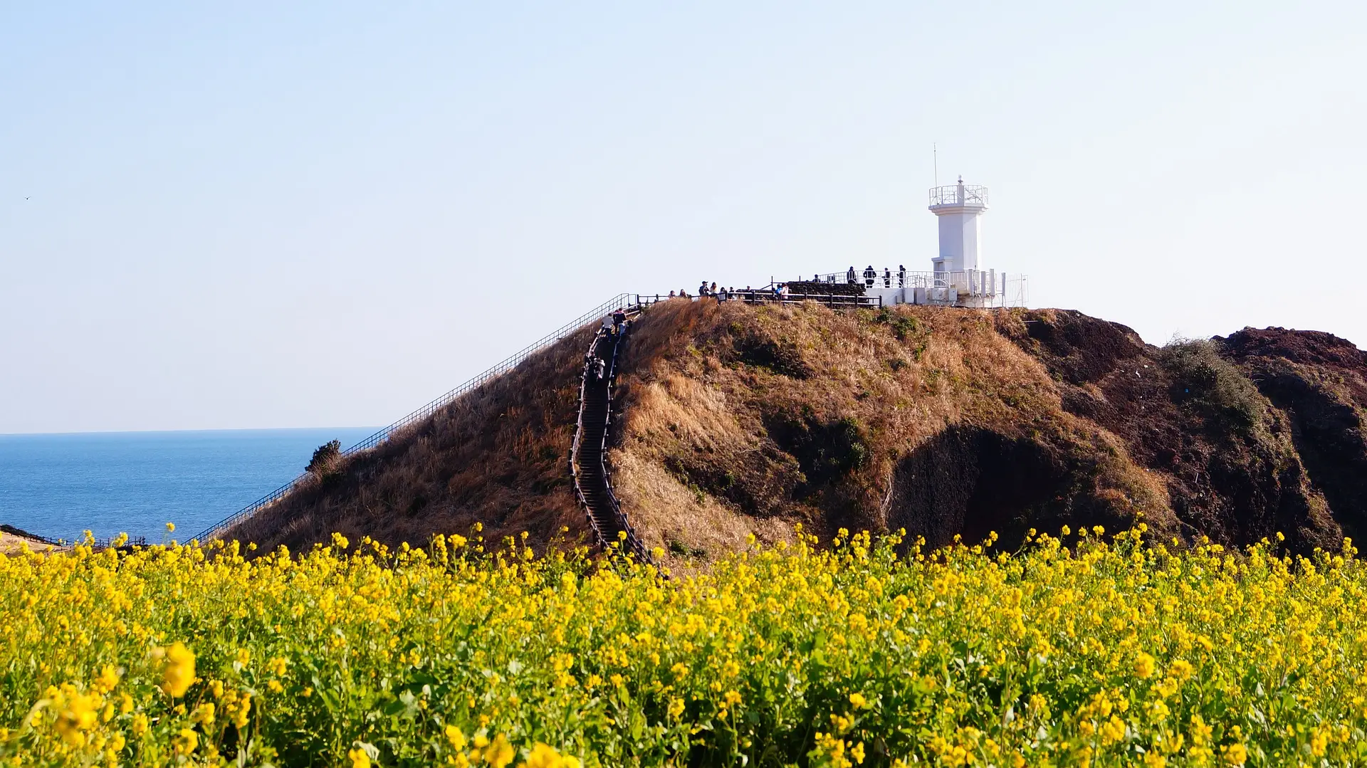 済州島（チェジュ島）