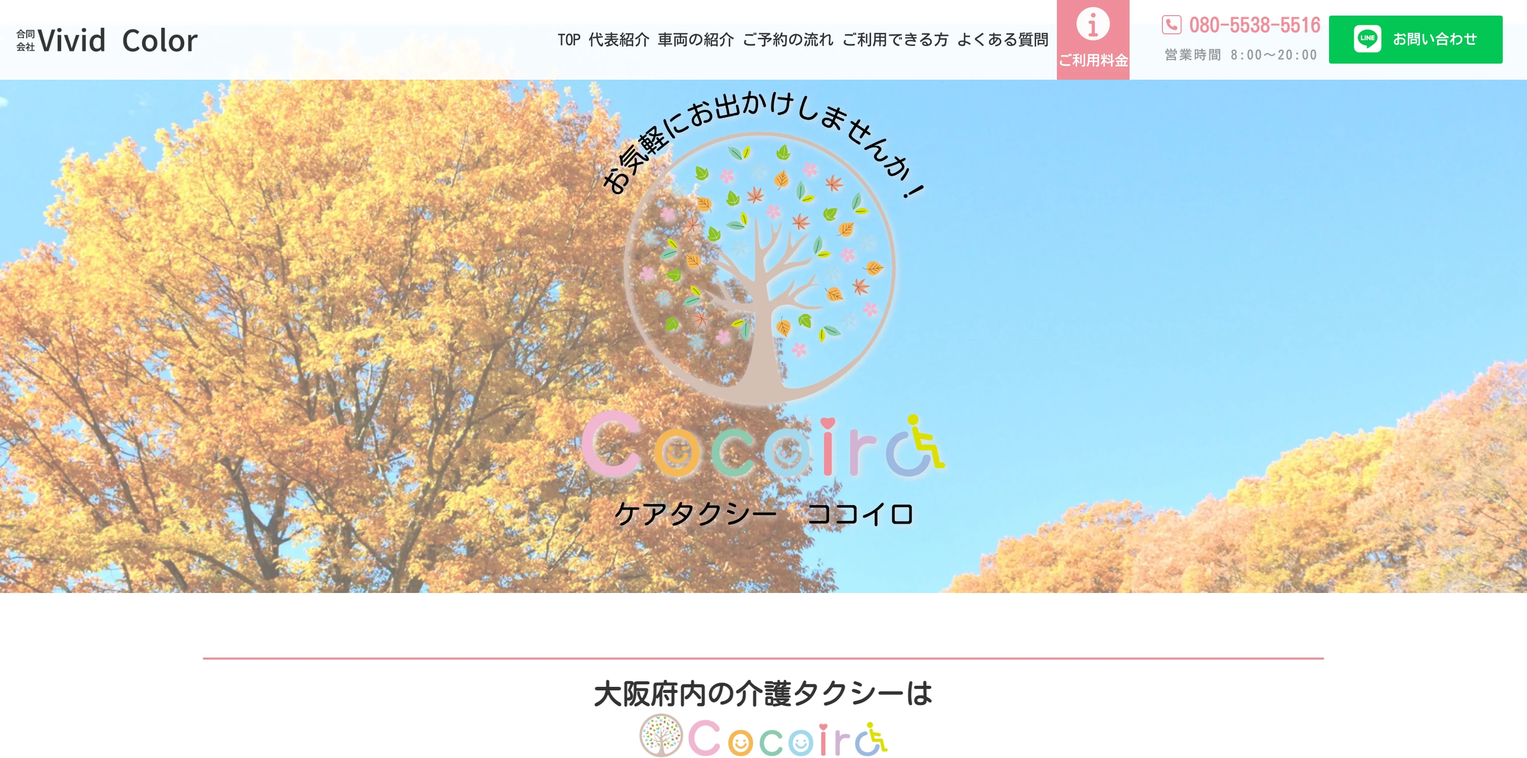 ケアタクシーココイロ LP