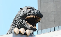 Hotel Gracery Shinjuku Reviews: What 1,323 Recent Guests Really Think