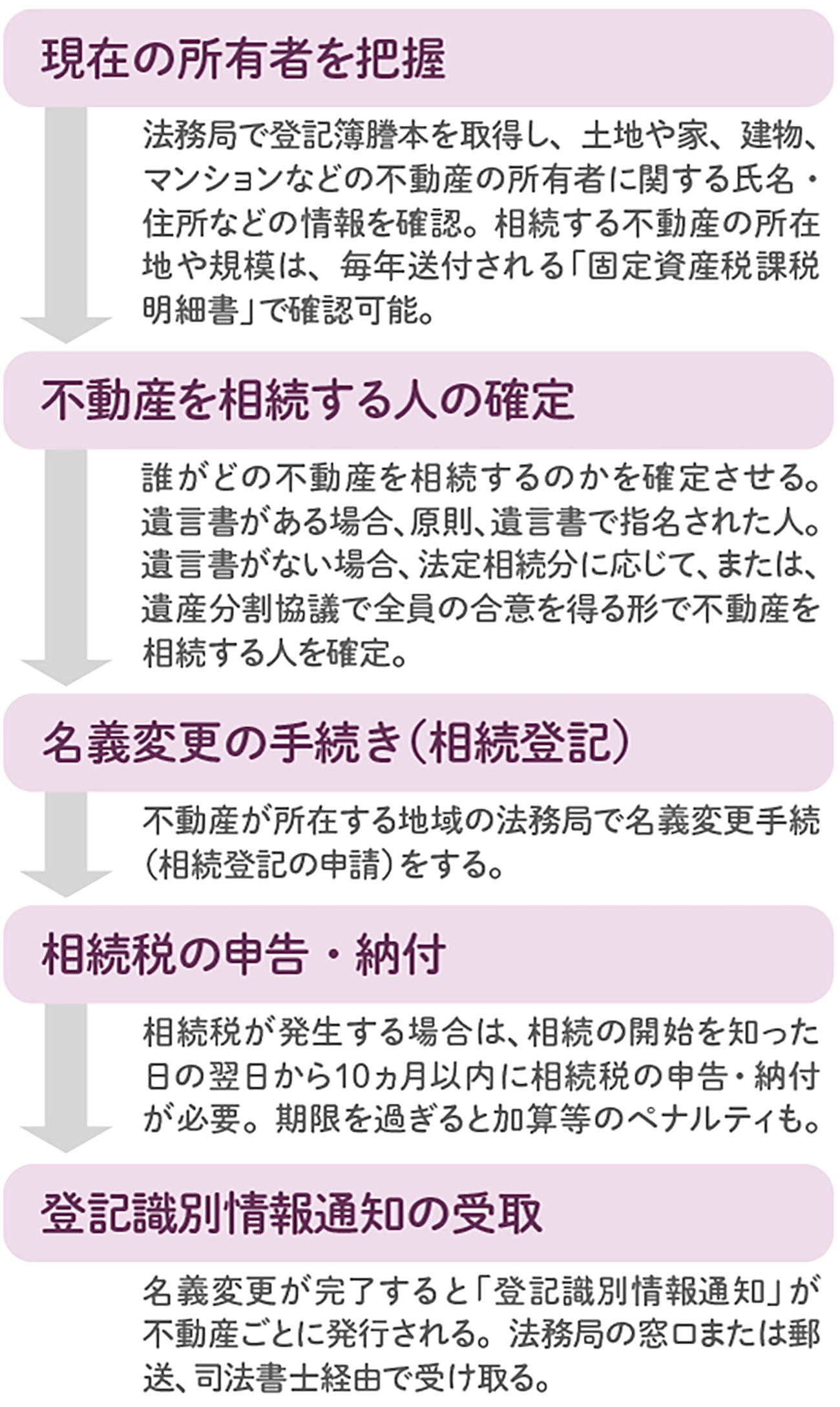 貴重】死亡告知書 【公式通販】