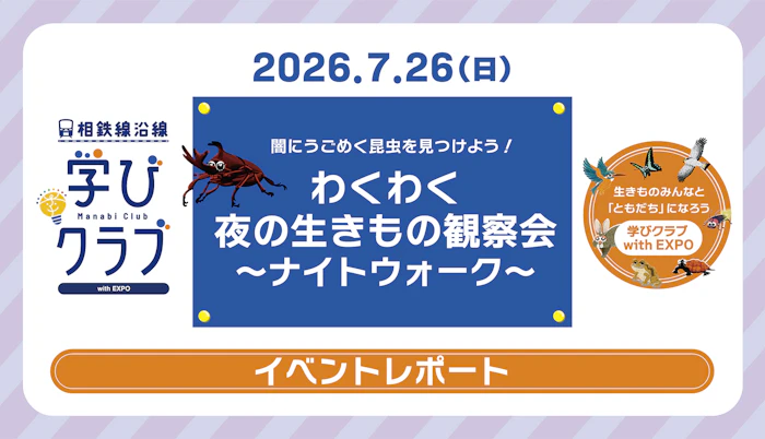 学びクラブ with EXPO 「夜の生きもの観察会」レポート
