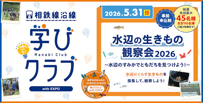 学びクラブ with EXPO 「水辺の生きもの観察会」