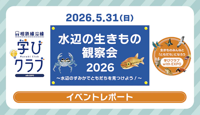 学びクラブ with EXPO 「水辺の生きもの観察会」レポート