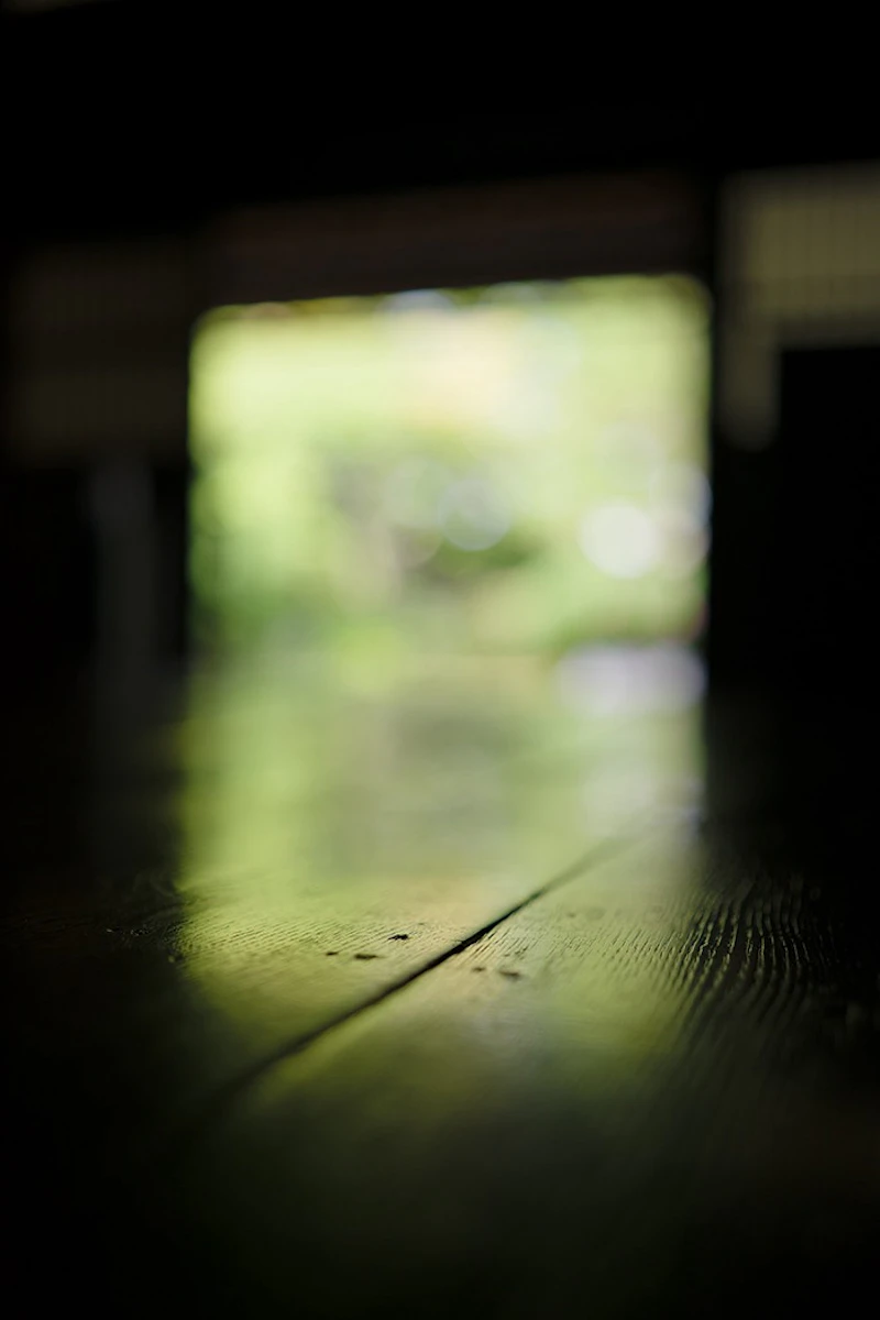 Signs きざし