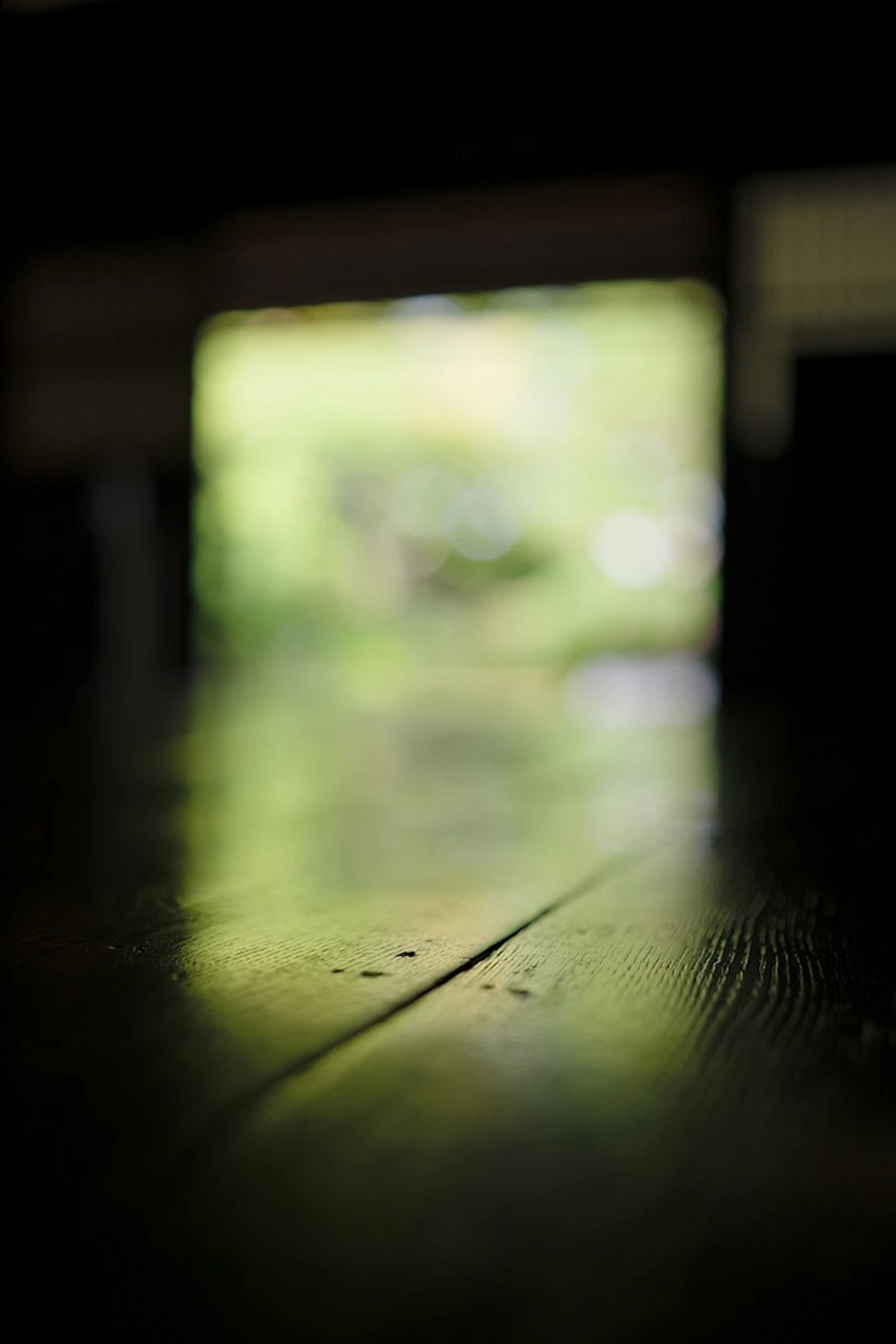 Signs きざし
