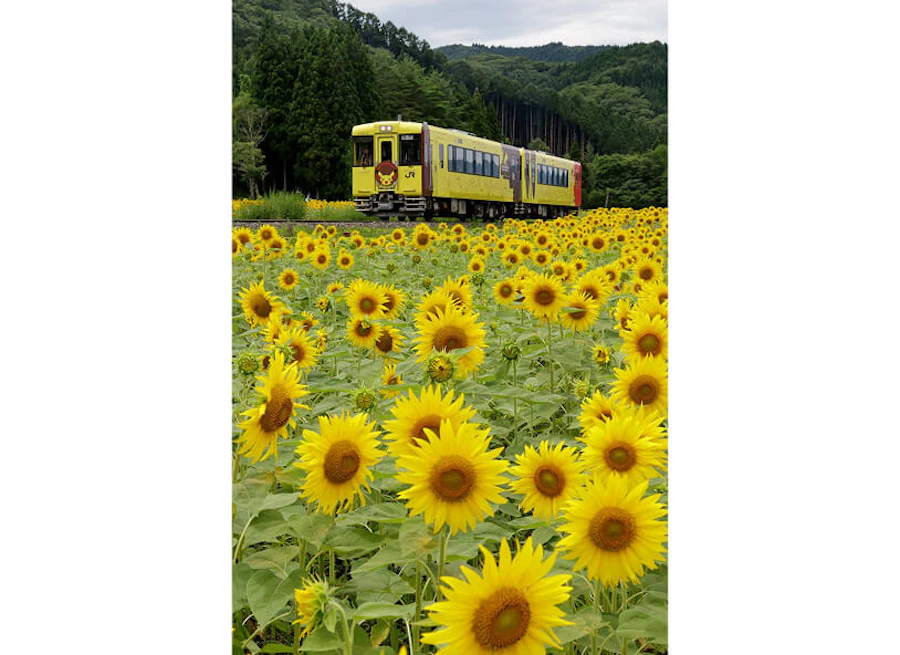 鉄道写真展