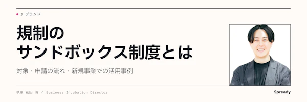 規制のサンドボックスとは|対象・申請の流れと使い分け