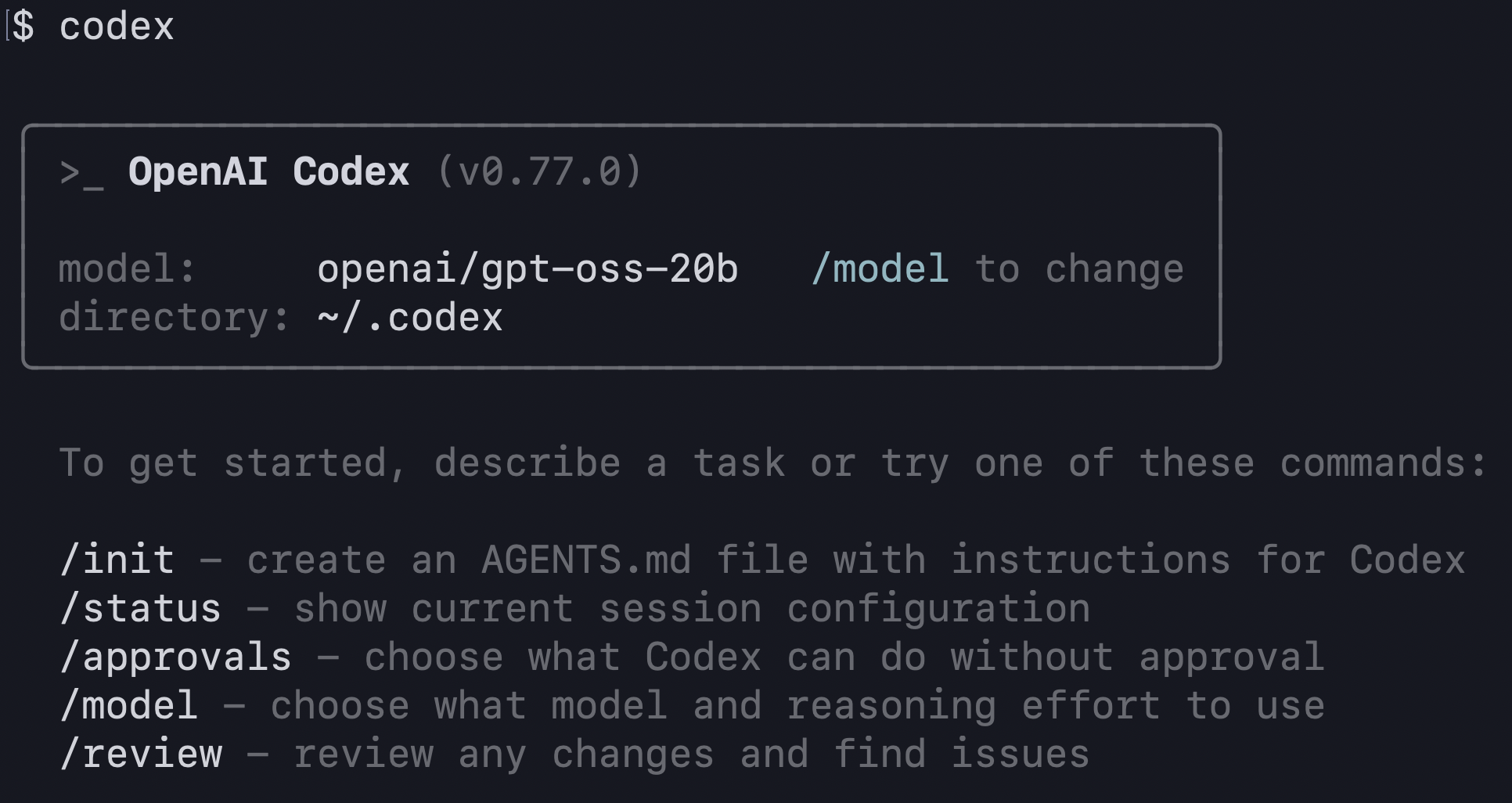 LM Studio で Codex を起動