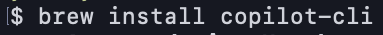 brew install copilot-cli