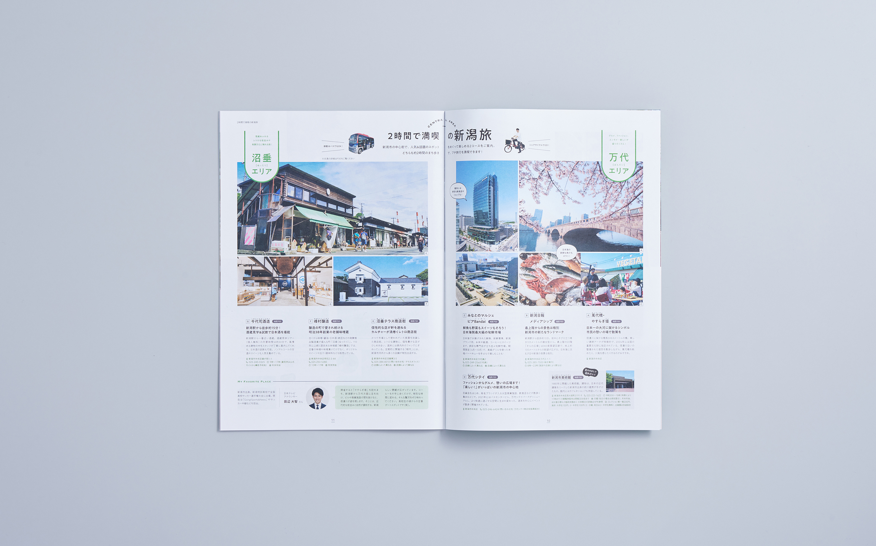 story-city-niigata-Hello-