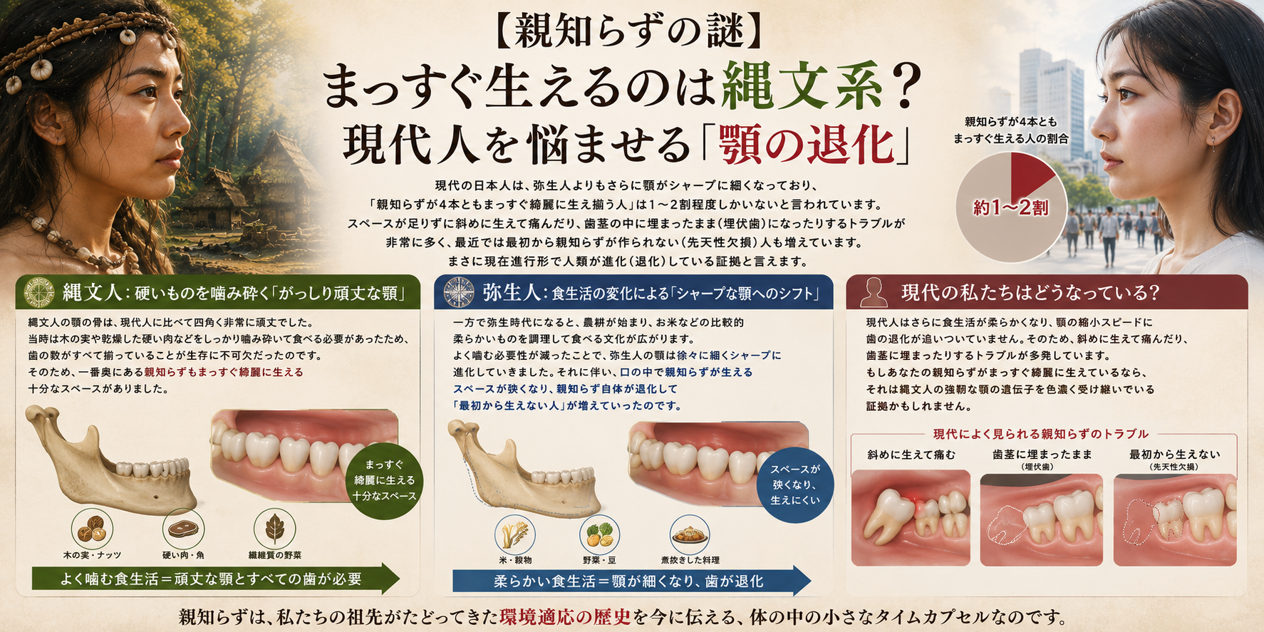 【親知らずの謎】まっすぐ生えるのは縄文系？現代人を悩ませる「顎の退化」