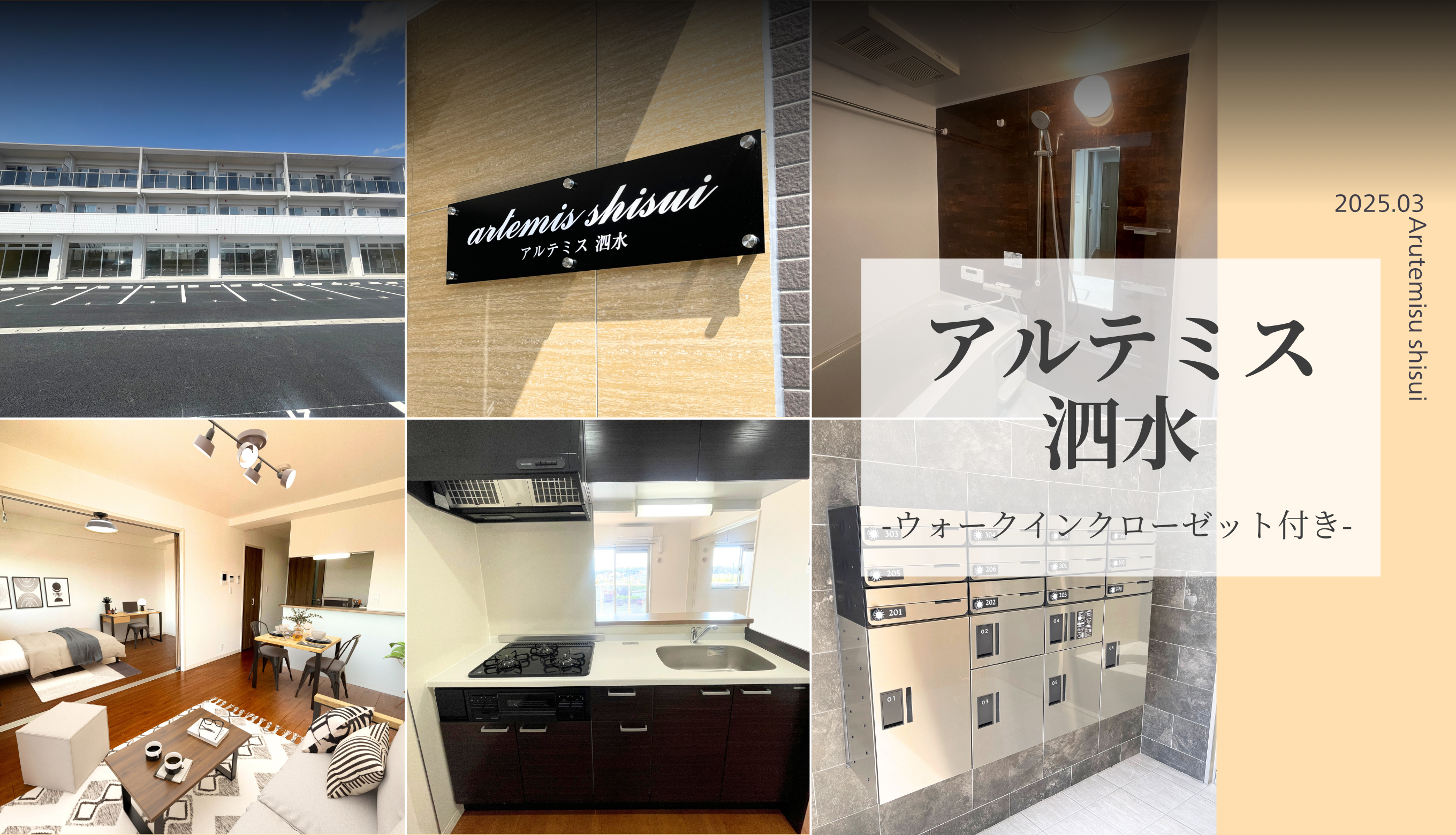 アルテミス泗水