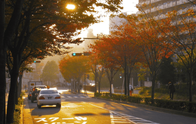 神奈川 一人暮らし 川崎