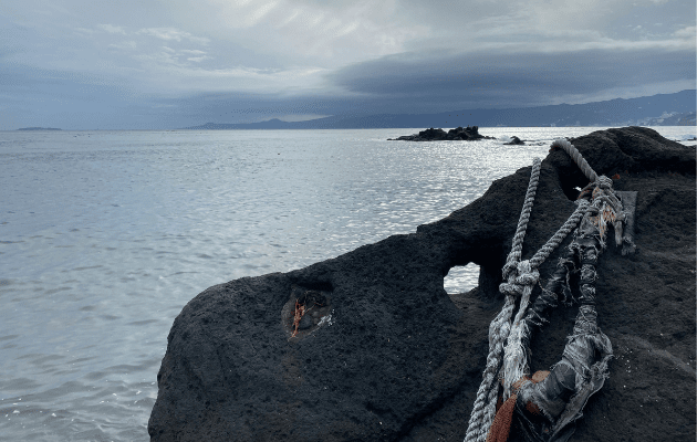 神奈川 一人暮らし 湘南
