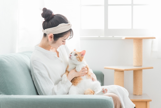 【2026年版】一人暮らしでも飼えるペットおすすめ10選｜費用・賃貸での注意点・飼いやすさを徹底解説