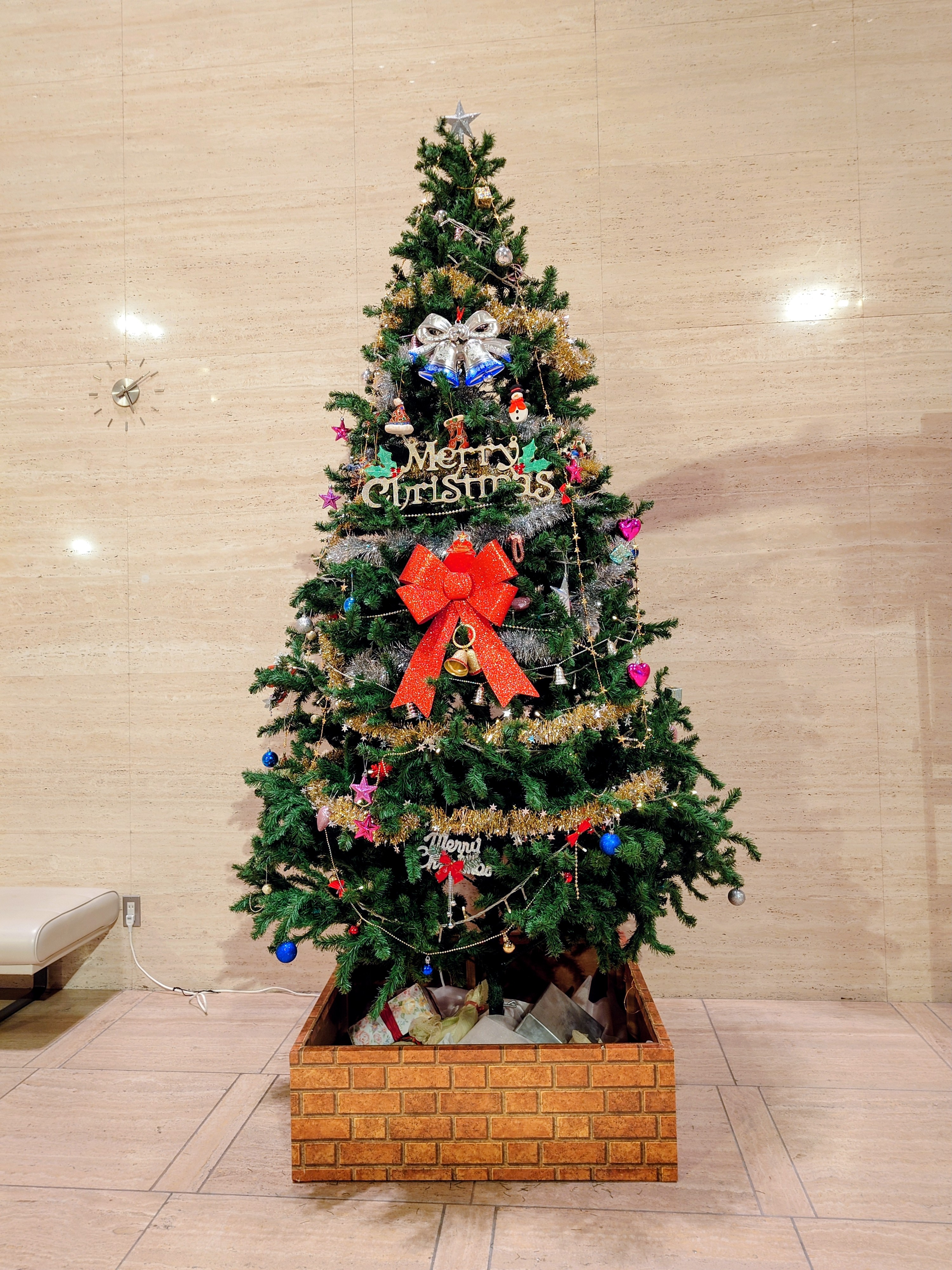 「令和7年度障がい者週間記念事業」に参加しました♪