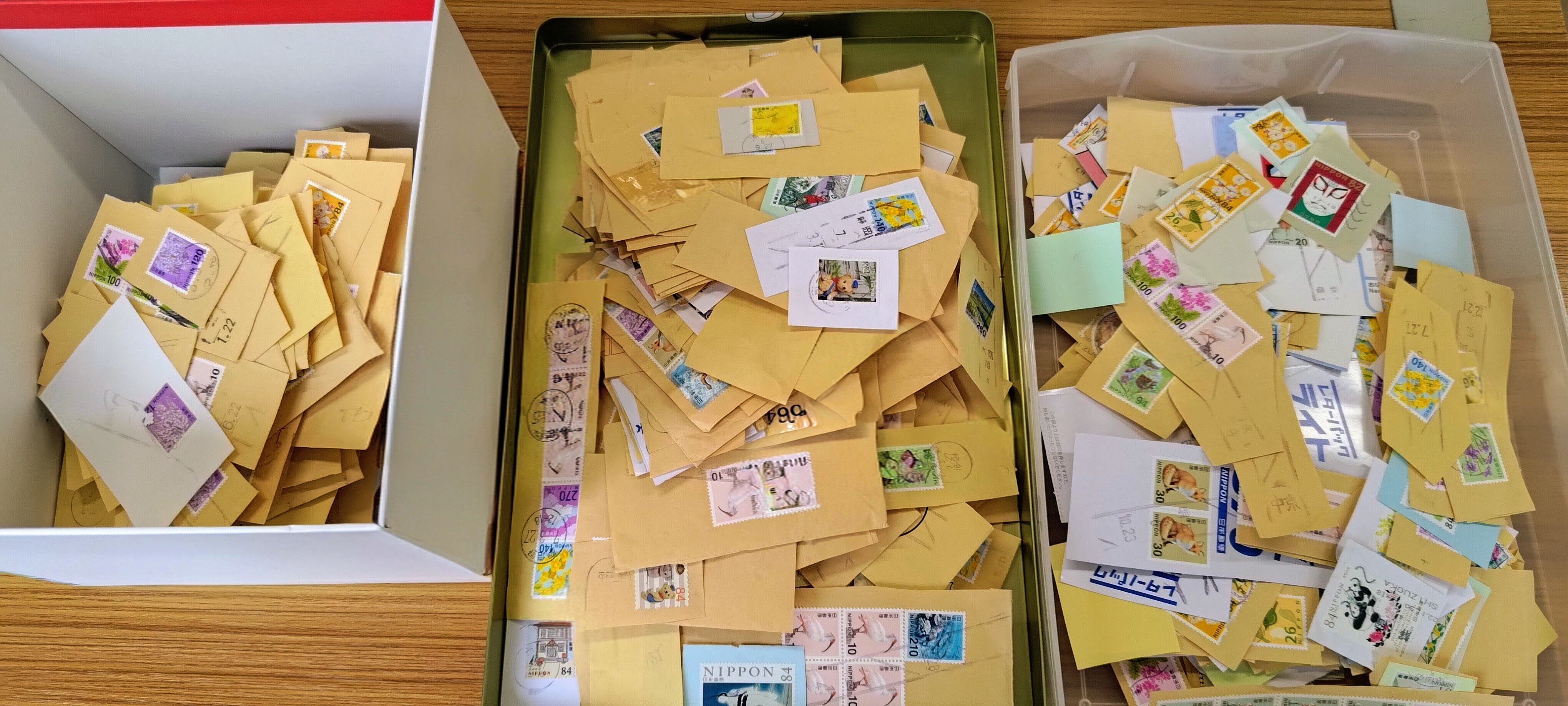 寄付ぽすとから生まれた5本の木 🌱