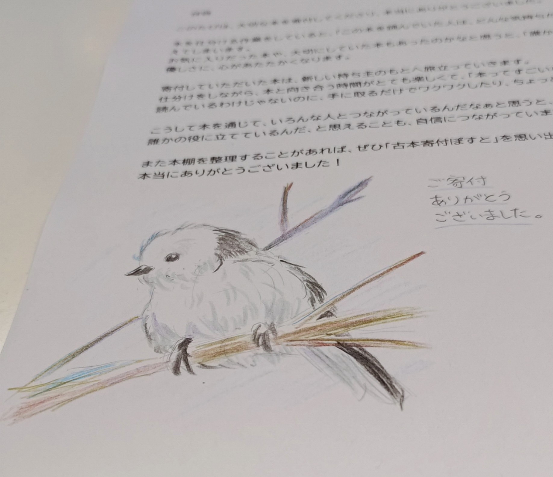 新たにぽすと設置スタート～🍅