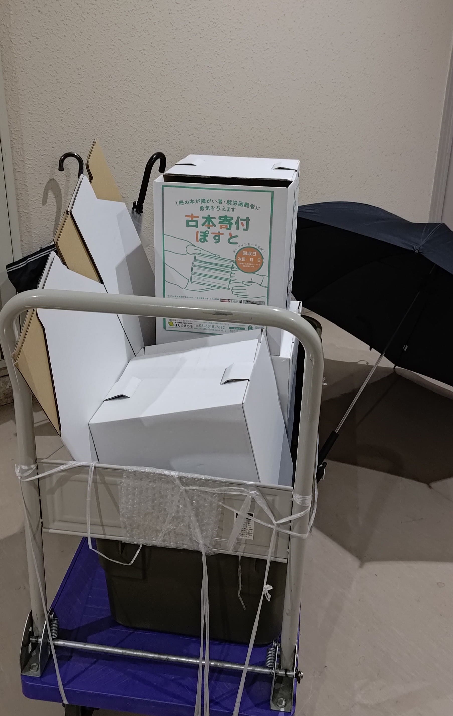 6月最初の活動報告をお届け♪