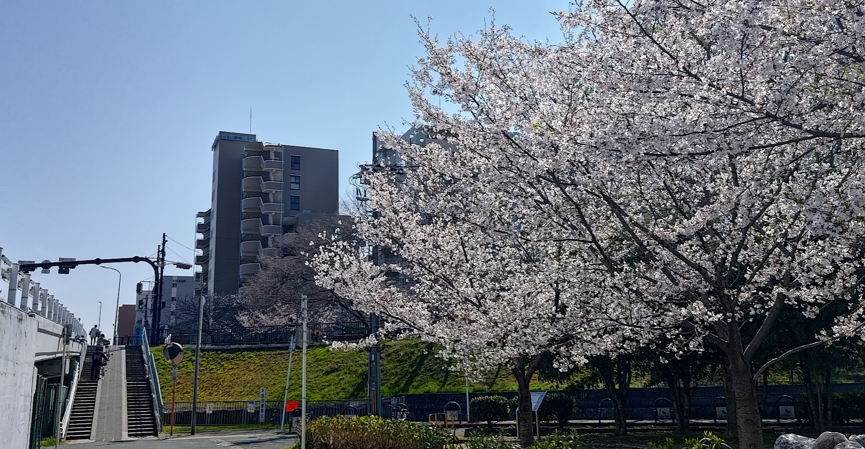 4月も元気に活動中💪＆梱包の「地味な作業」のお話