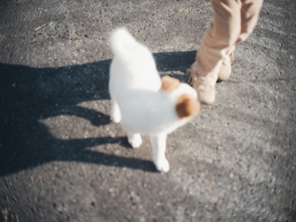 12月某日。にぎわう近所