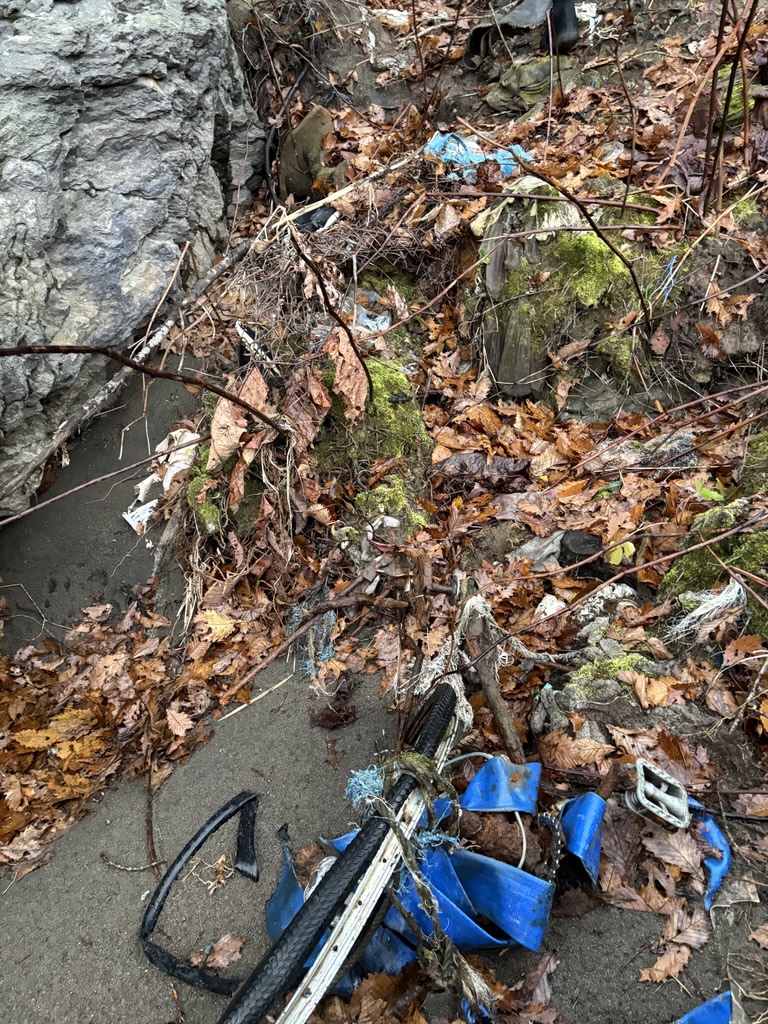 インスタグラムの投稿