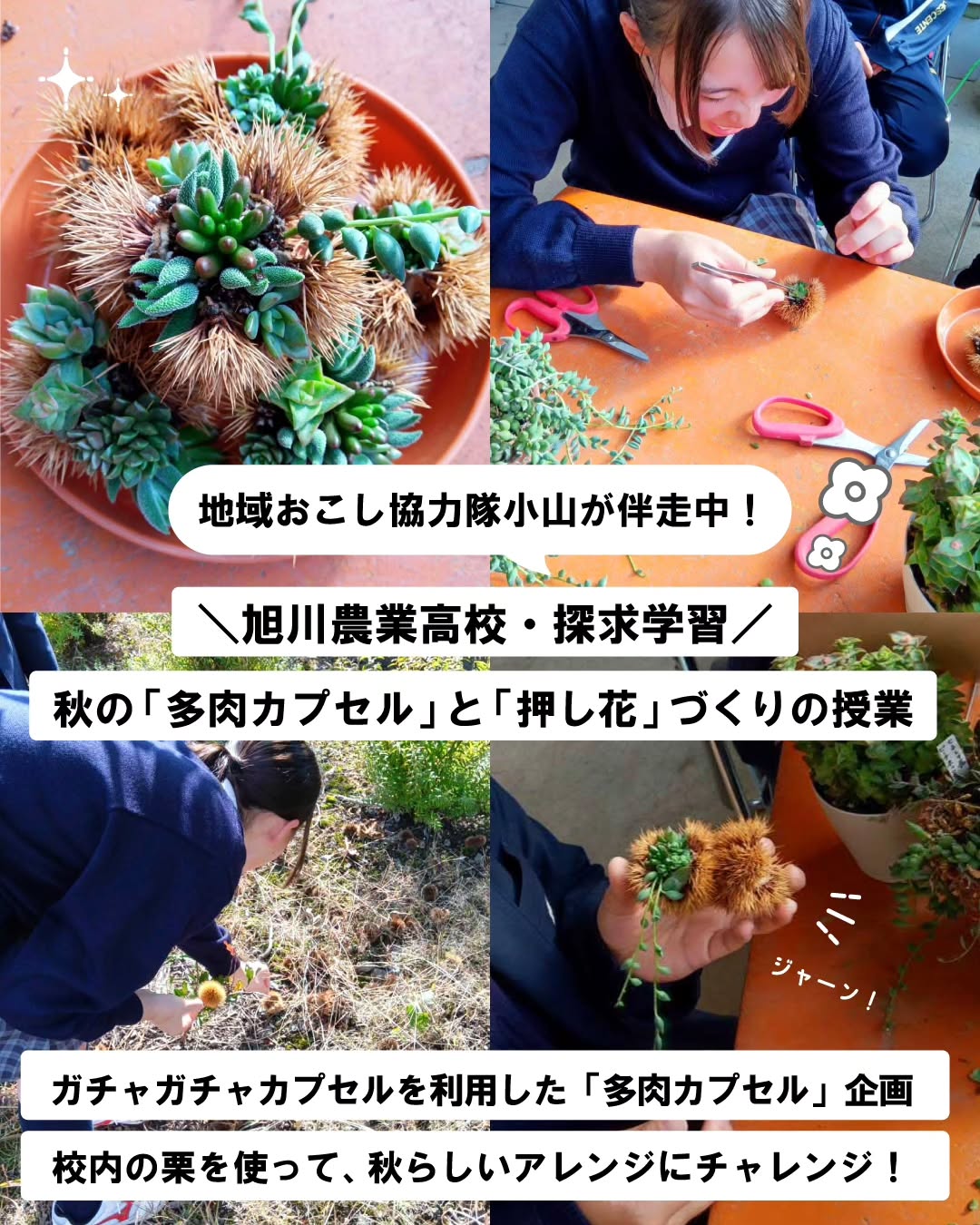 インスタグラムの投稿