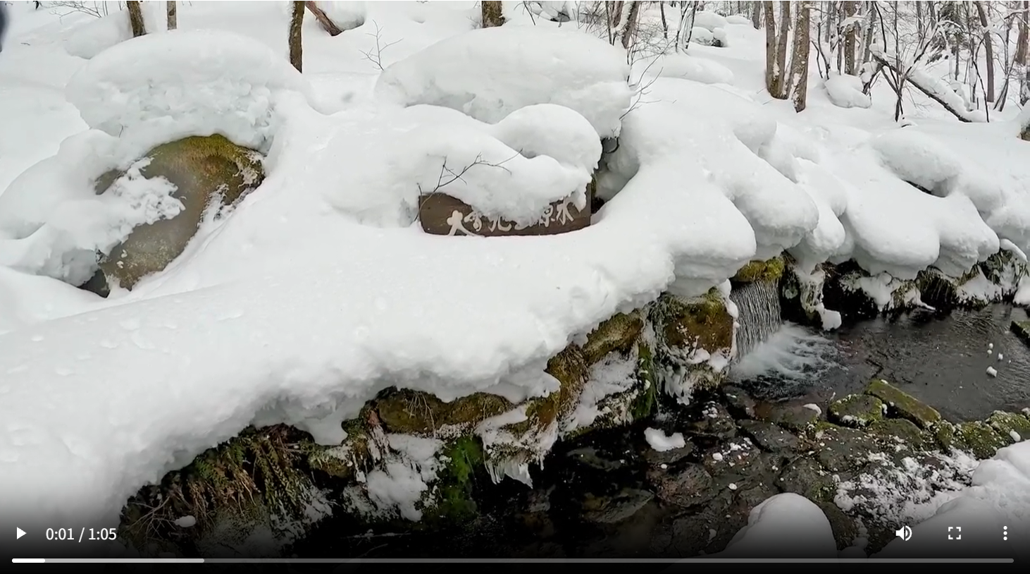 インスタグラムの投稿