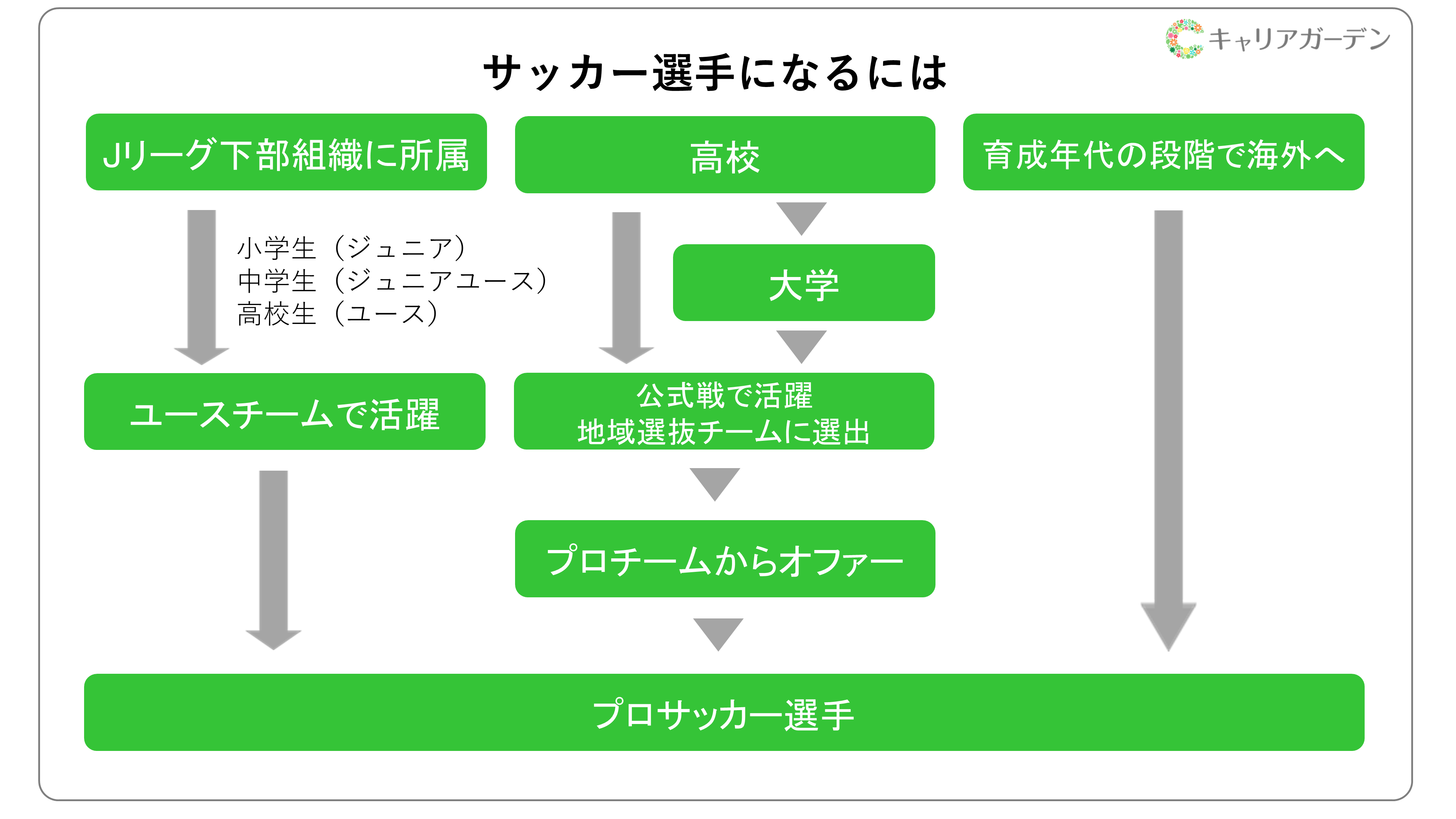 活動歴および当時の関連ビジュアル記録