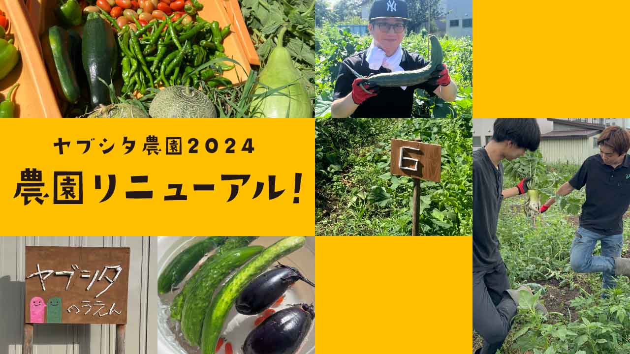 ヤブシタ農園がリニューアルしました!