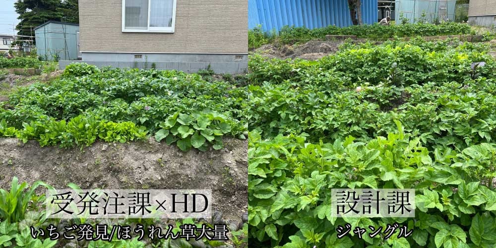 農園の畑の様子 受発注課+HD(左) 設計課(右)