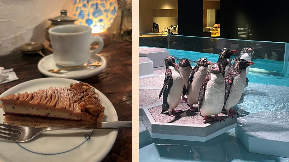 カフェ・都市型水族館AOAO SAPPORO