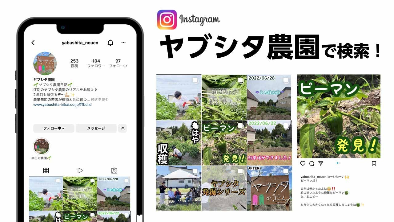 ヤブシタ農園専用インスタアカウント
