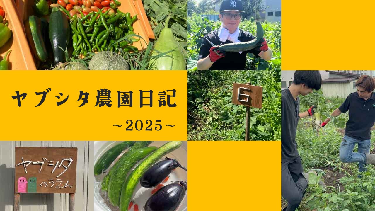2025年ヤブシタ農園レポート