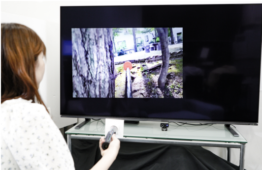 TeleStick：動画に触覚情報を収録できるカメラ周辺機器と再生手法 の研究画像