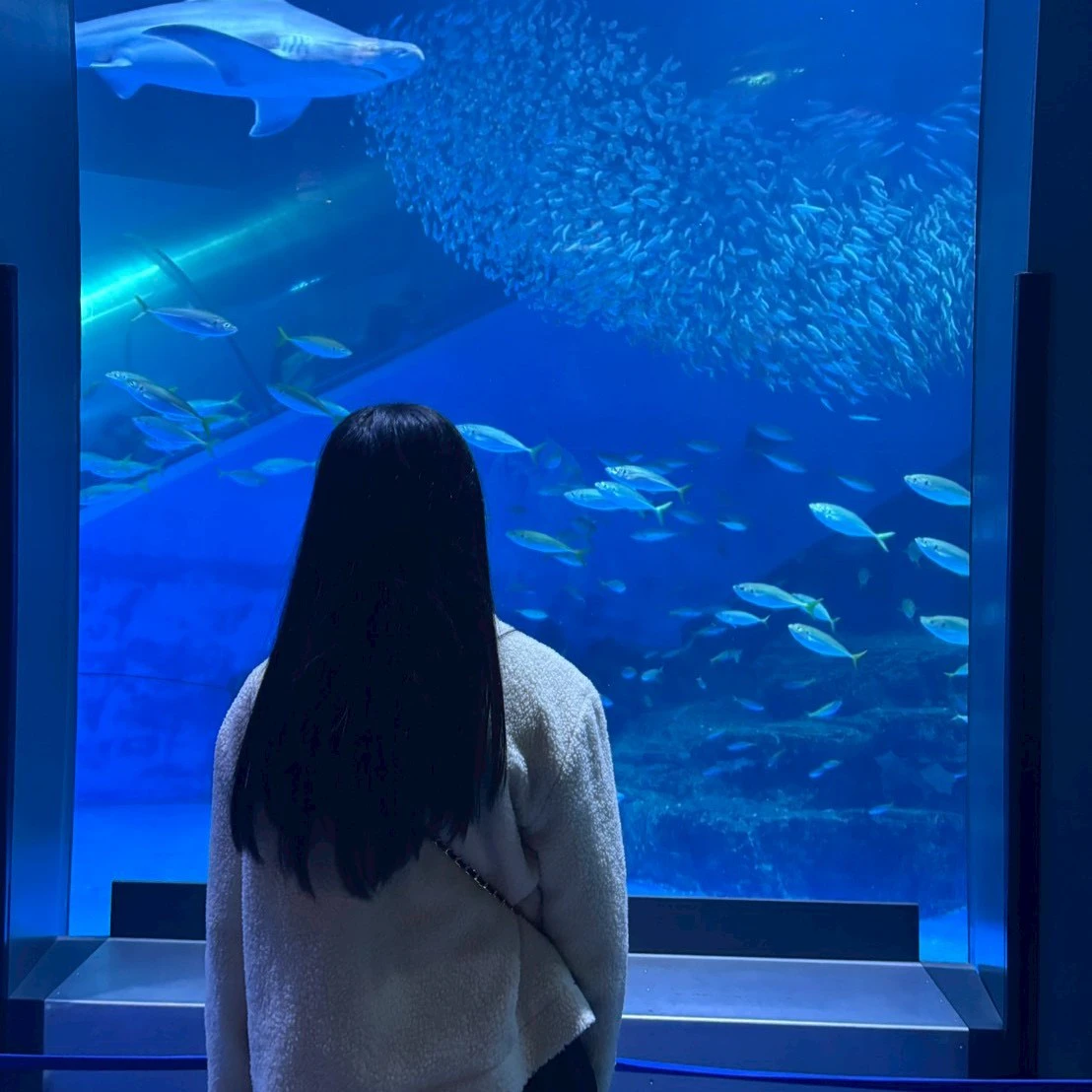 小島 瑠海のプロフィール画像