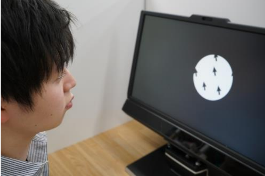 ダミーカーソル環境における動的視野制限法を用いた自身のカーソル探索時の視野範囲調査 の研究画像