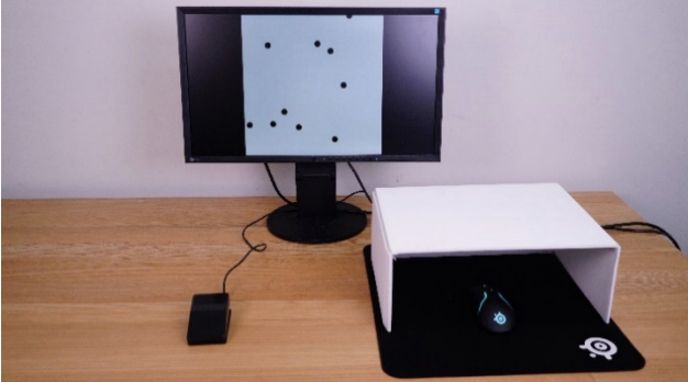 ダミーカーソル実験におけるカーソルサイズが自身のカーソル特定にもたらす影響 の研究画像