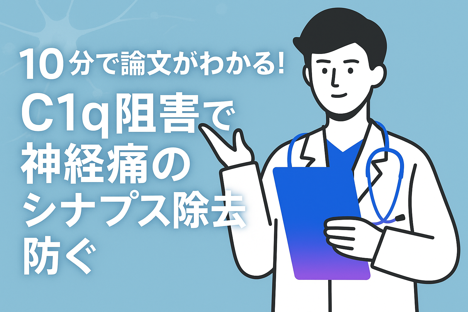 10分で論文がわかる!C1q阻害で神経痛のシナプス除去防ぐ