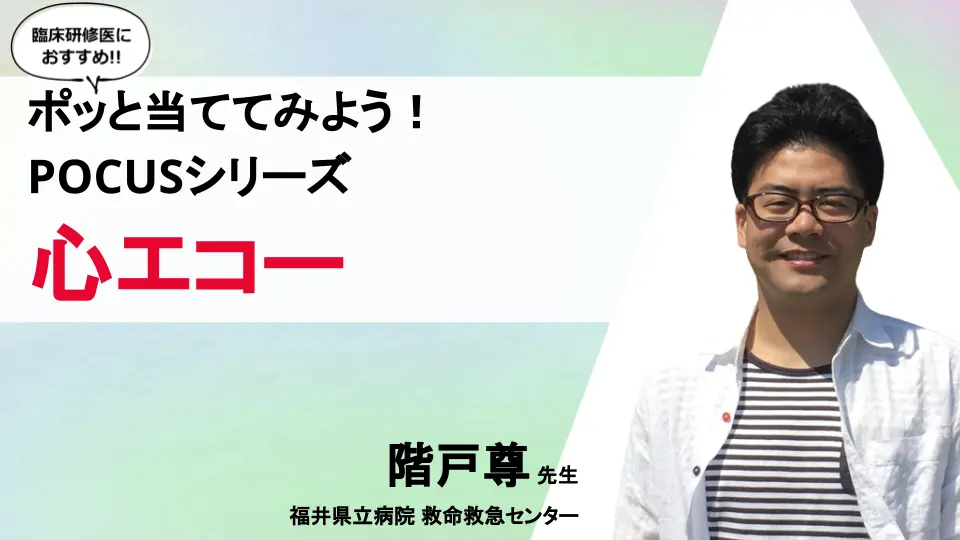 ポッと当ててみよう!POCUSシリーズ 心臓