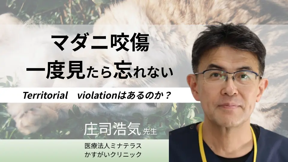 マダニ咬傷 一度見たら忘れない Territorial violationはあるのか?