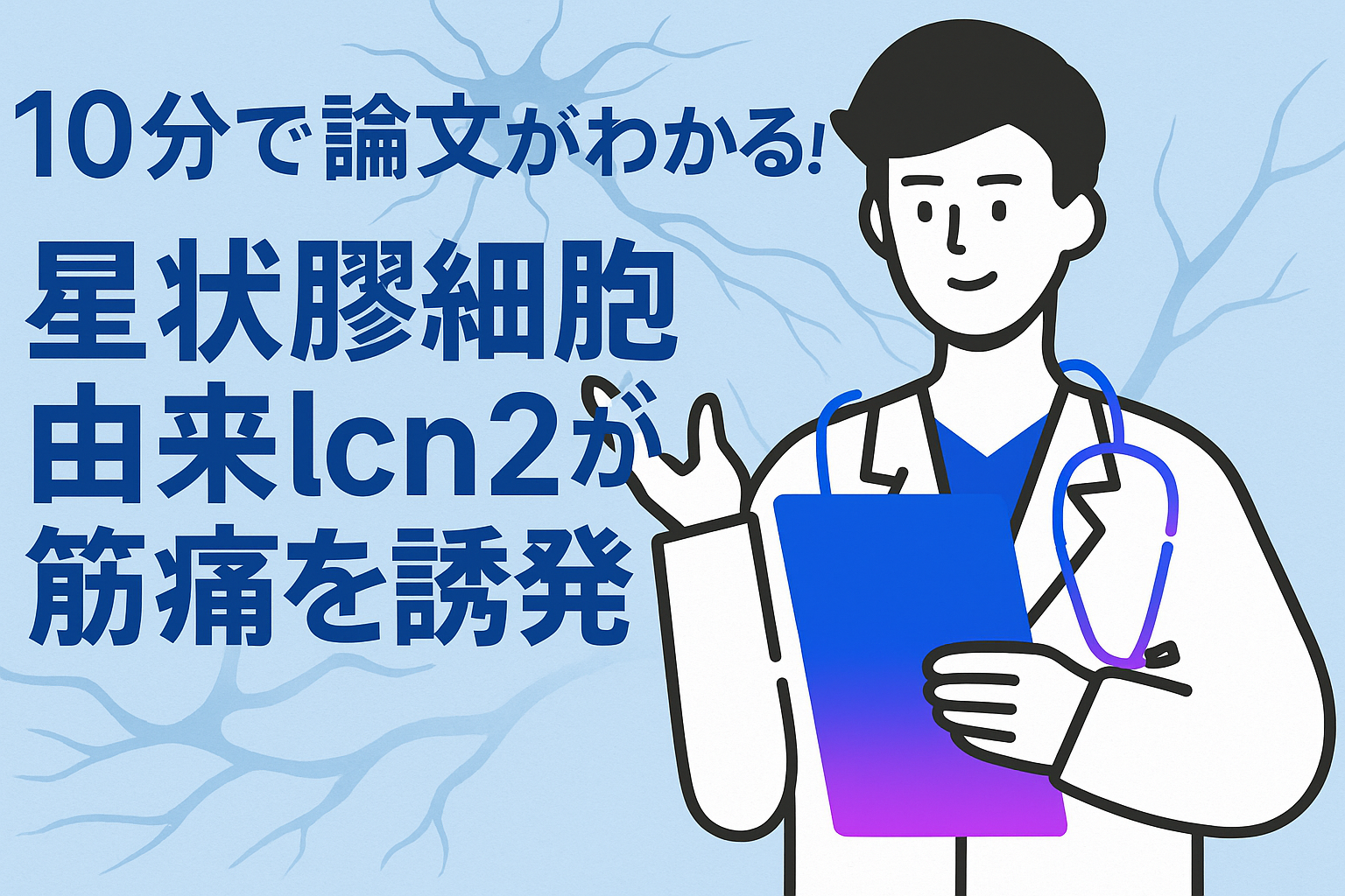 10分で論文がわかる!星状膠細胞由来lcn2が筋痛を誘発