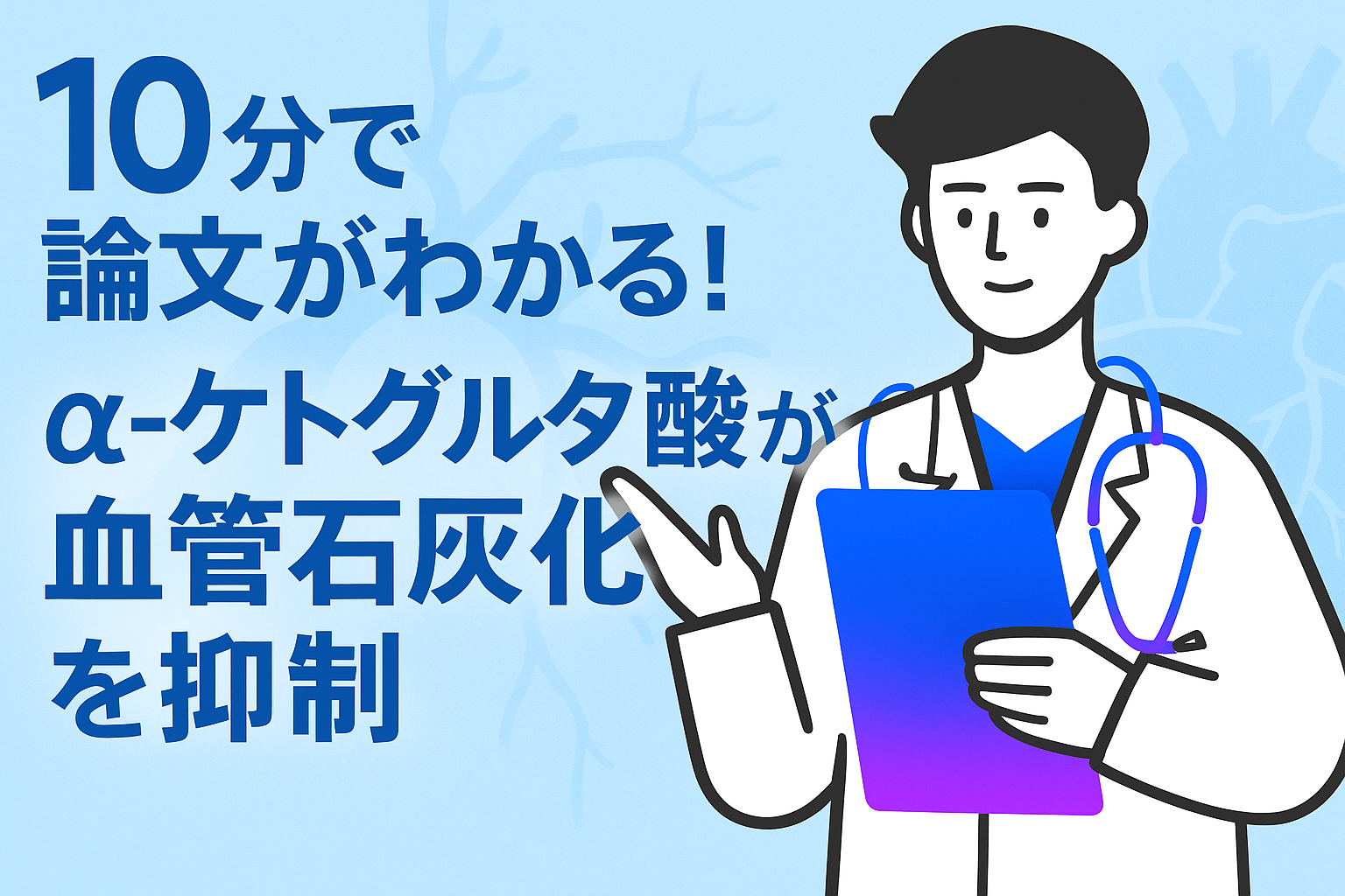 10分で論文がわかる!α-ケトグルタル酸が血管石灰化を抑制